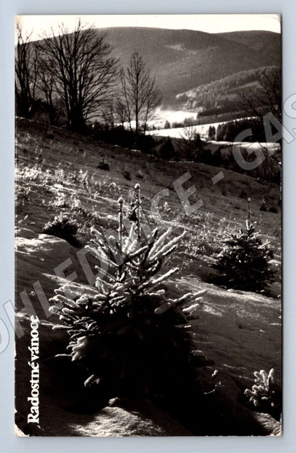 Postcard Pernštejn Merry Christmas Czechoslovakia (M2964)