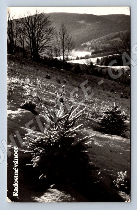 Postcard Pernštejn Merry Christmas Czechoslovakia (M2964)