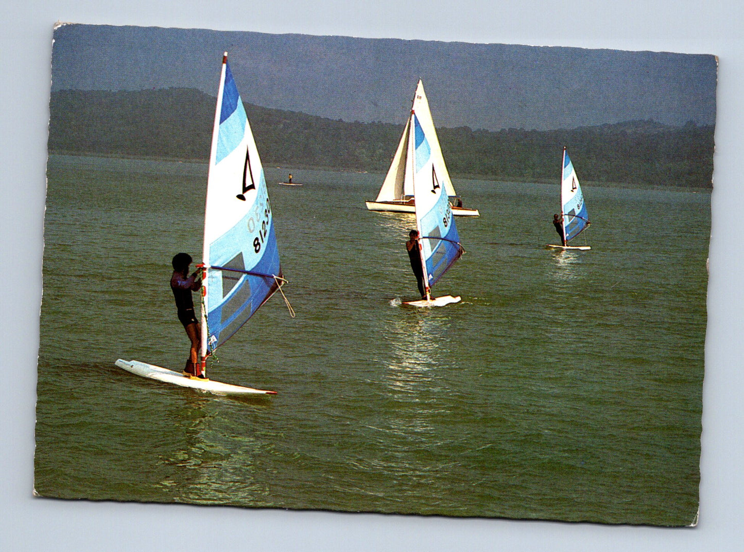 Pohlednice Maďarsko Balaton windsurfing (M29665)
