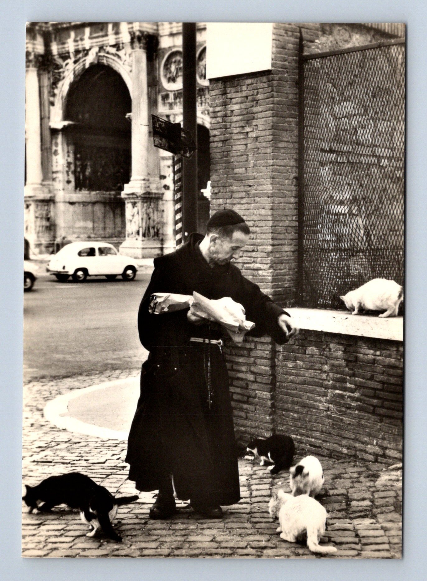 Stará fotografie Řím kapucín krmící kočky (M29691)