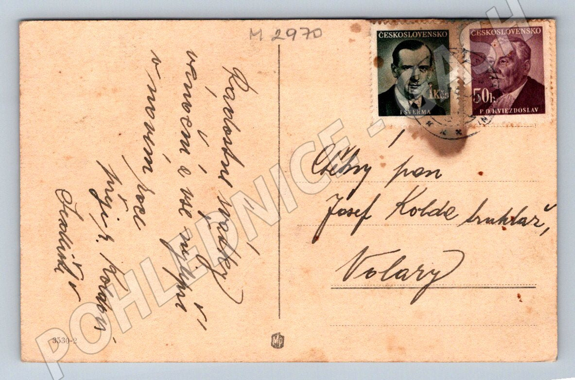 Postcard with snowy trees, Maple Hill (M2970)