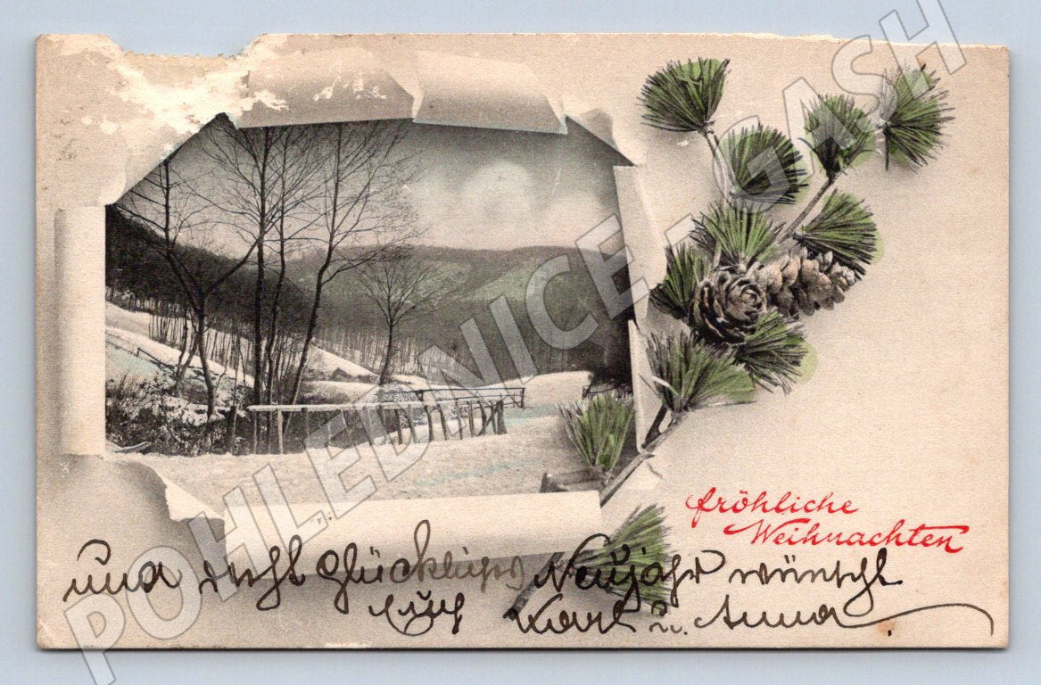 Postcard pine branch and winter landscape (M2976)