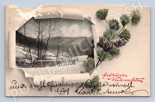 Postcard pine branch and winter landscape (M2976)