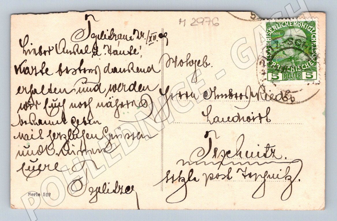 Postcard pine branch and winter landscape (M2976)