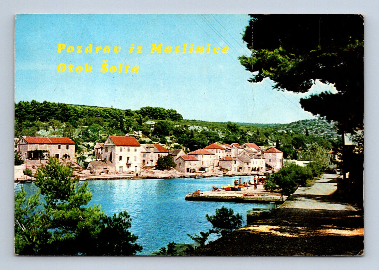 Pohlednice Chorvatsko Maslinice Otok Šolta přístav 1985 (M29782)