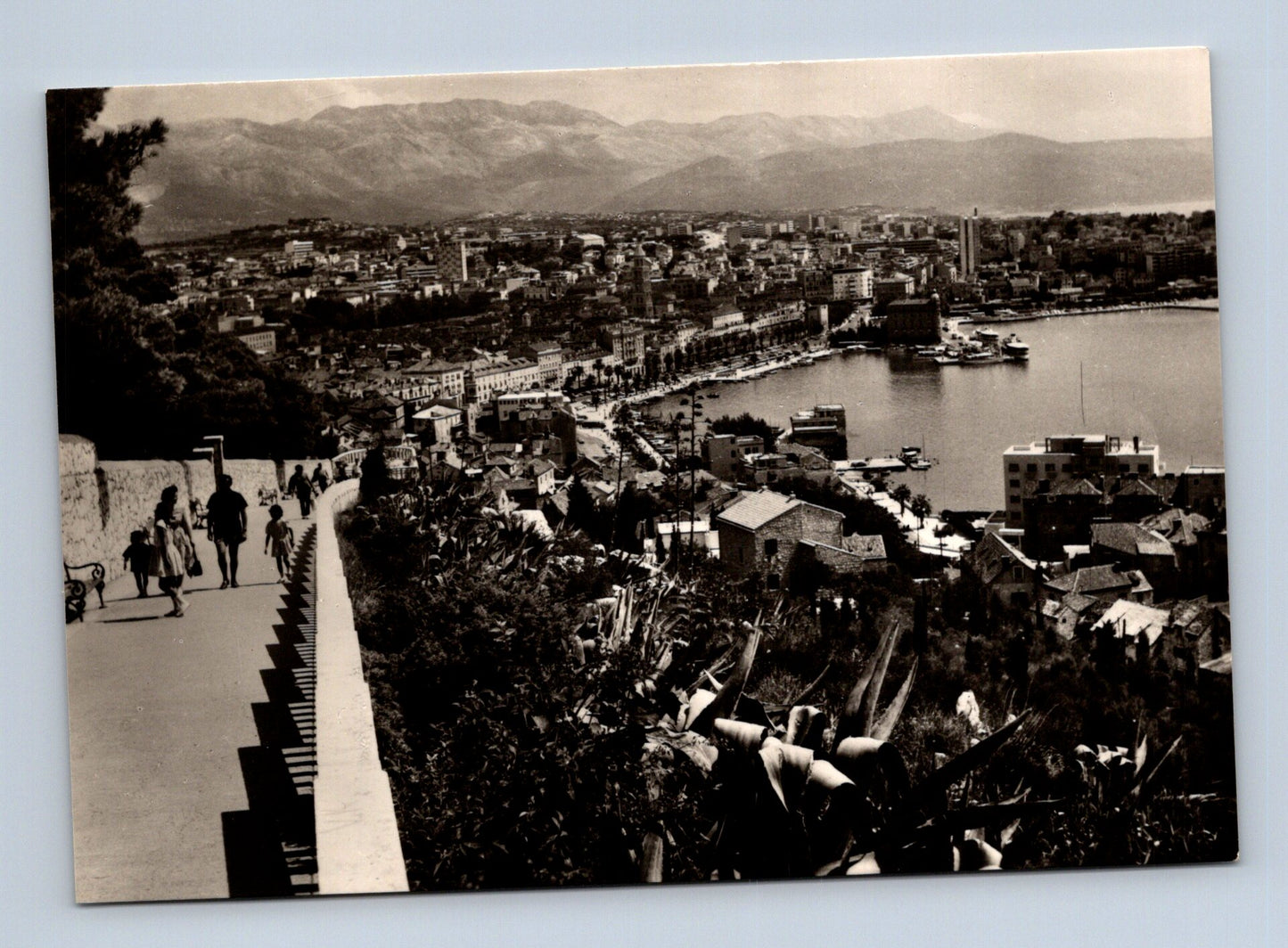 Pohlednice Chorvatsko Split Marjan a přístav 1965 (M29784)