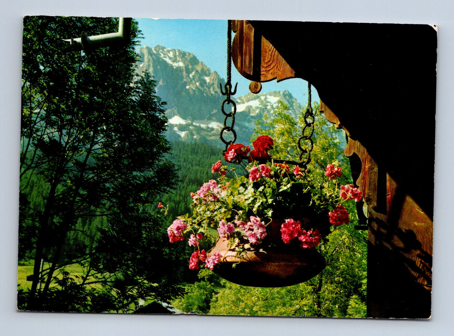 Pohlednice Švýcarsko horská krajina květiny 1975 (M29837)