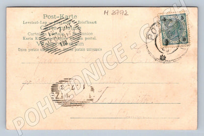 Pohlednice borovice se šiškou 1903 (M2992)