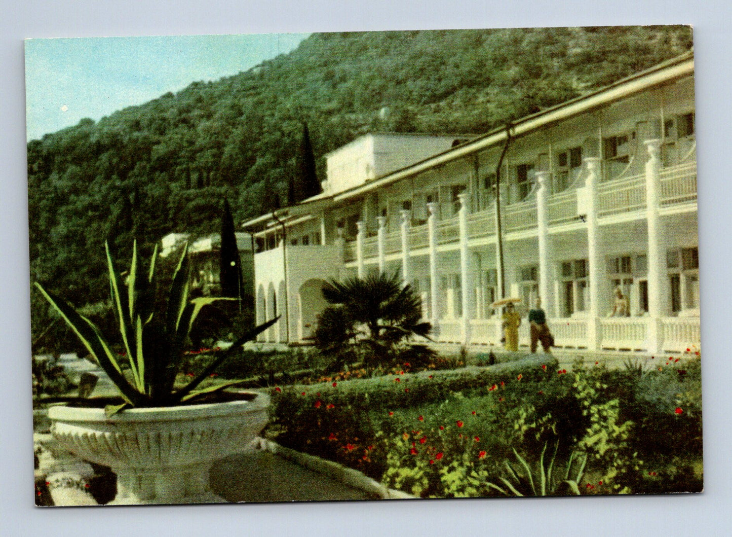 Pohlednice SSSR Jalta Sanatorium Kurpaty 1963 (M29978)
