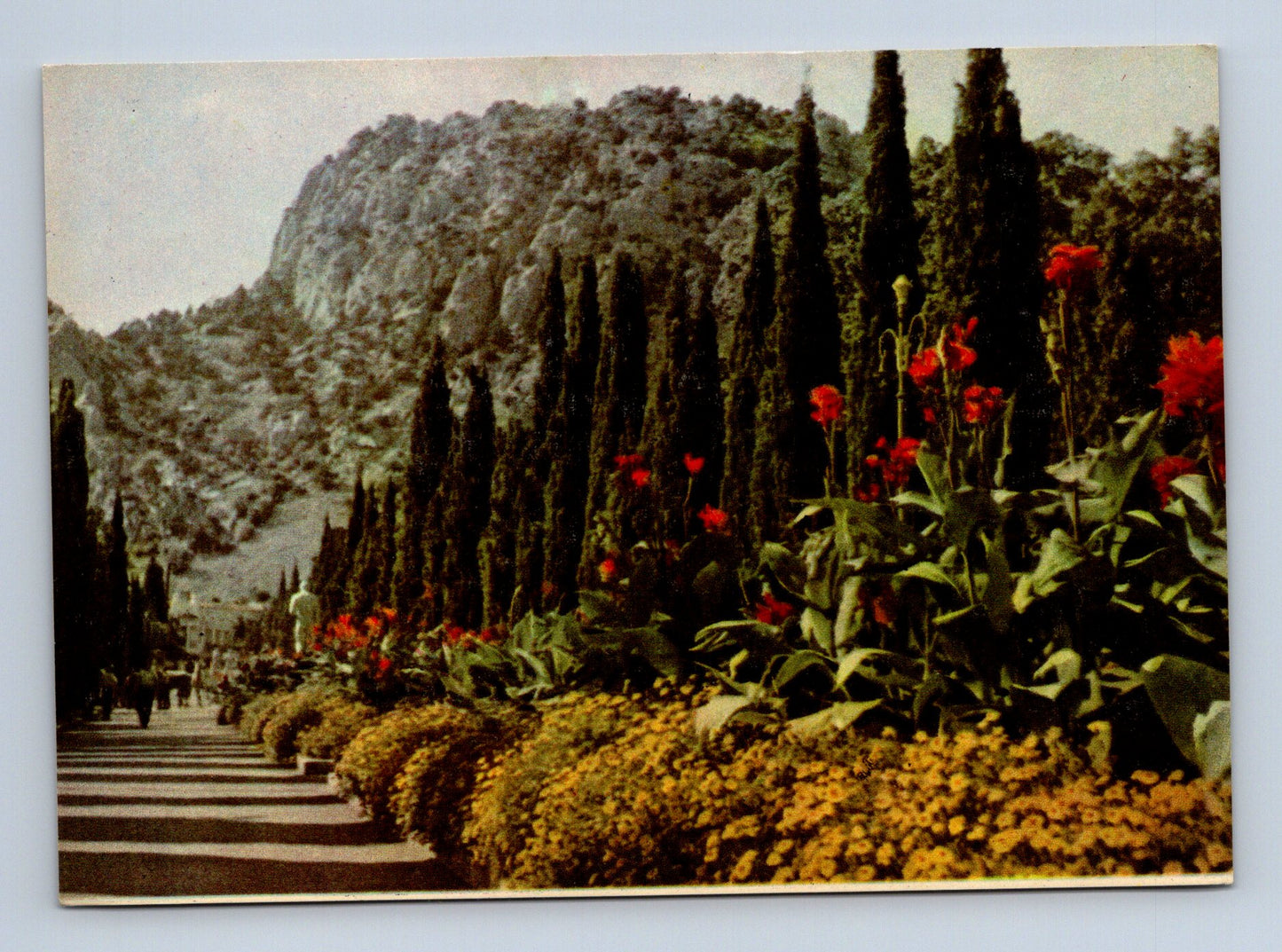 Pohlednice Rusko Simeiz Leninův prospekt květiny 1963 (M29985)