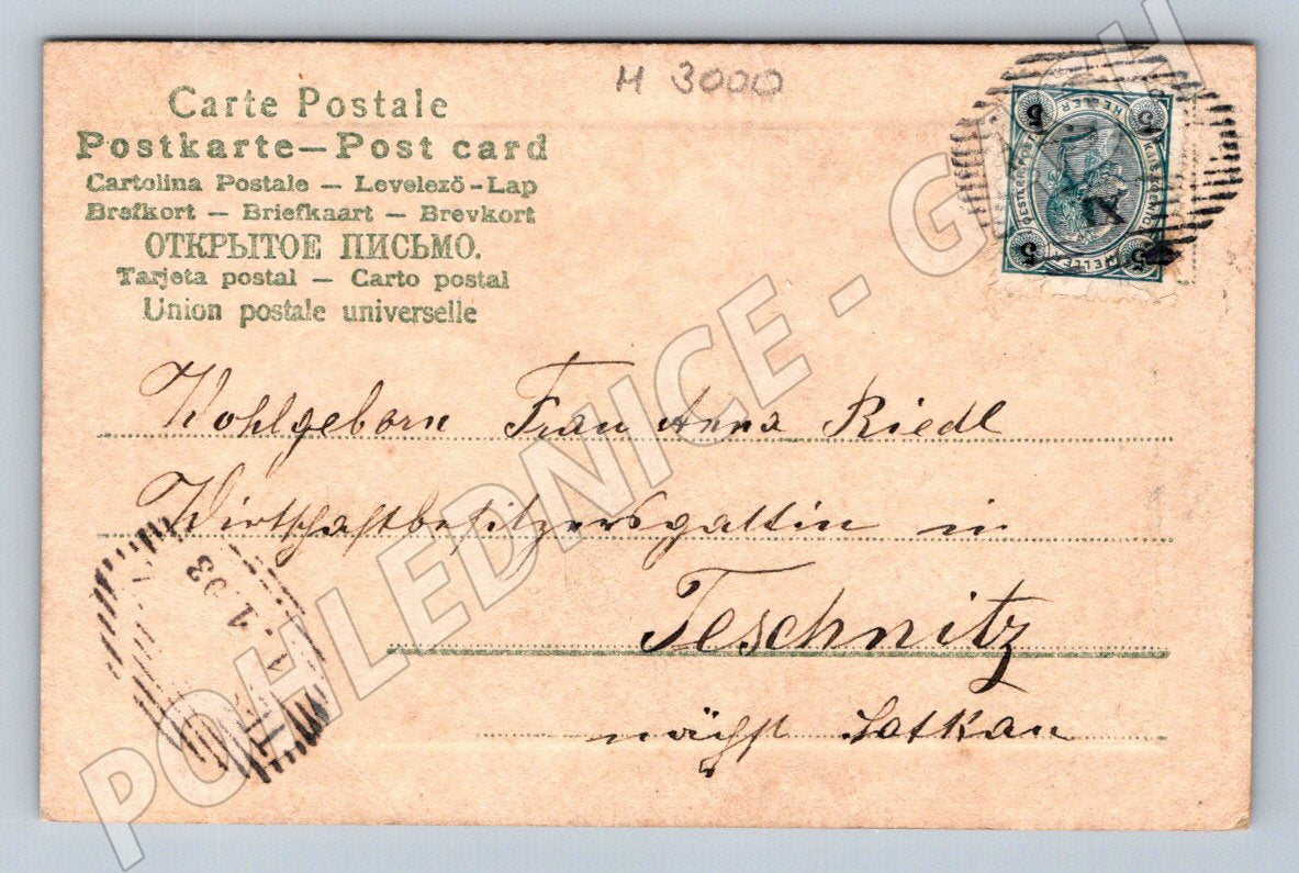 Pohlednice čtyřlístky Nový rok 1903 (M3000)