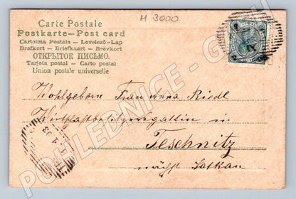 Pohlednice čtyřlístky Nový rok 1903 (M3000)