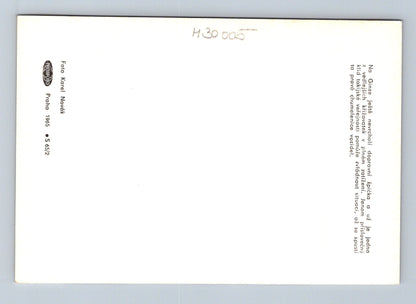 Pohlednice Japonsko Tokio Ginza ulice 1965 (M30005)
