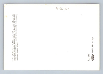 Pohlednice Japonsko Tokio ženy v kimonech 1965 (M30013)