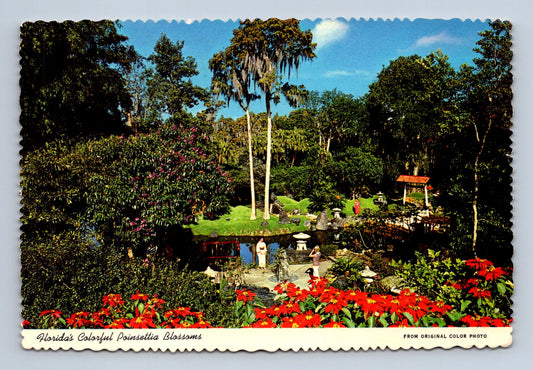 Pohlednice USA Florida subtropická zahrada Poinsettia (M30037)