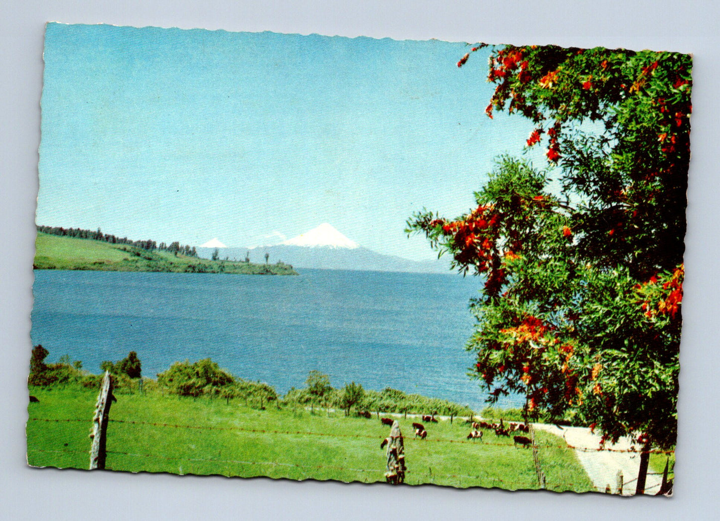 Pohlednice Chile Llanquihue jezero Volcán Osorno 1967 (M30043)