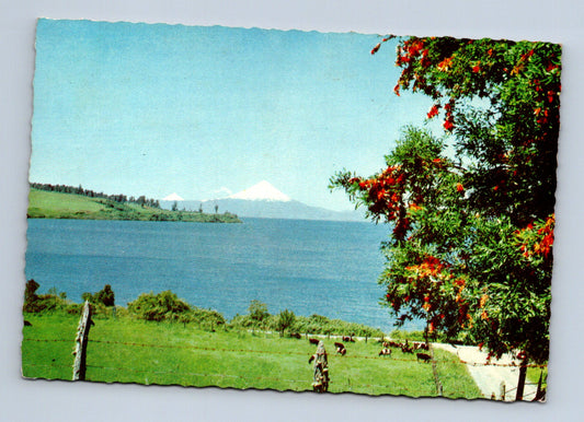 Pohlednice Chile Llanquihue jezero Volcán Osorno 1967 (M30043)