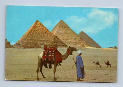 Pohlednice Egypt Gíza Pyramidy velbloud (M30050)