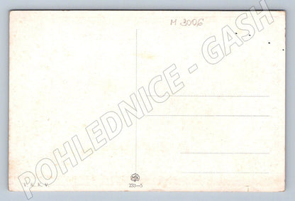 Postcard girl from Trenčín traditional costume (M3006)