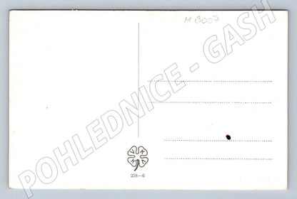 Postcard Slovak girl in traditional costume (M3007)