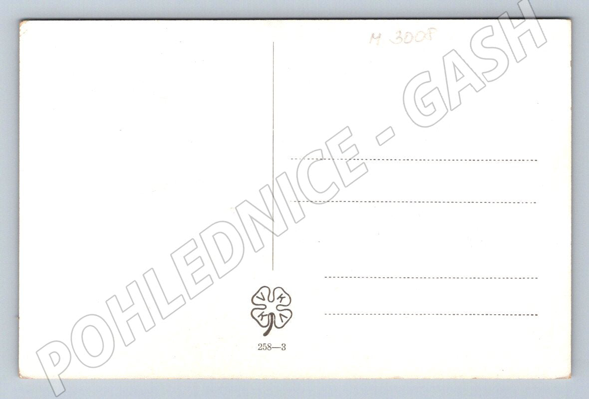 Postcard girl from Uherský Brod, traditional costume (M3008)