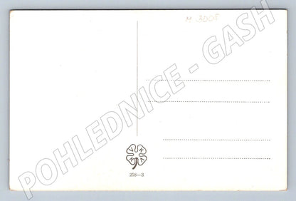 Postcard girl from Uherský Brod, traditional costume (M3008)