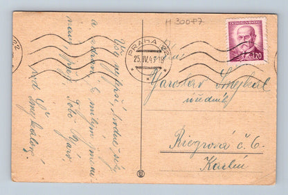 Pohlednice narcisy 1943 (M30087)