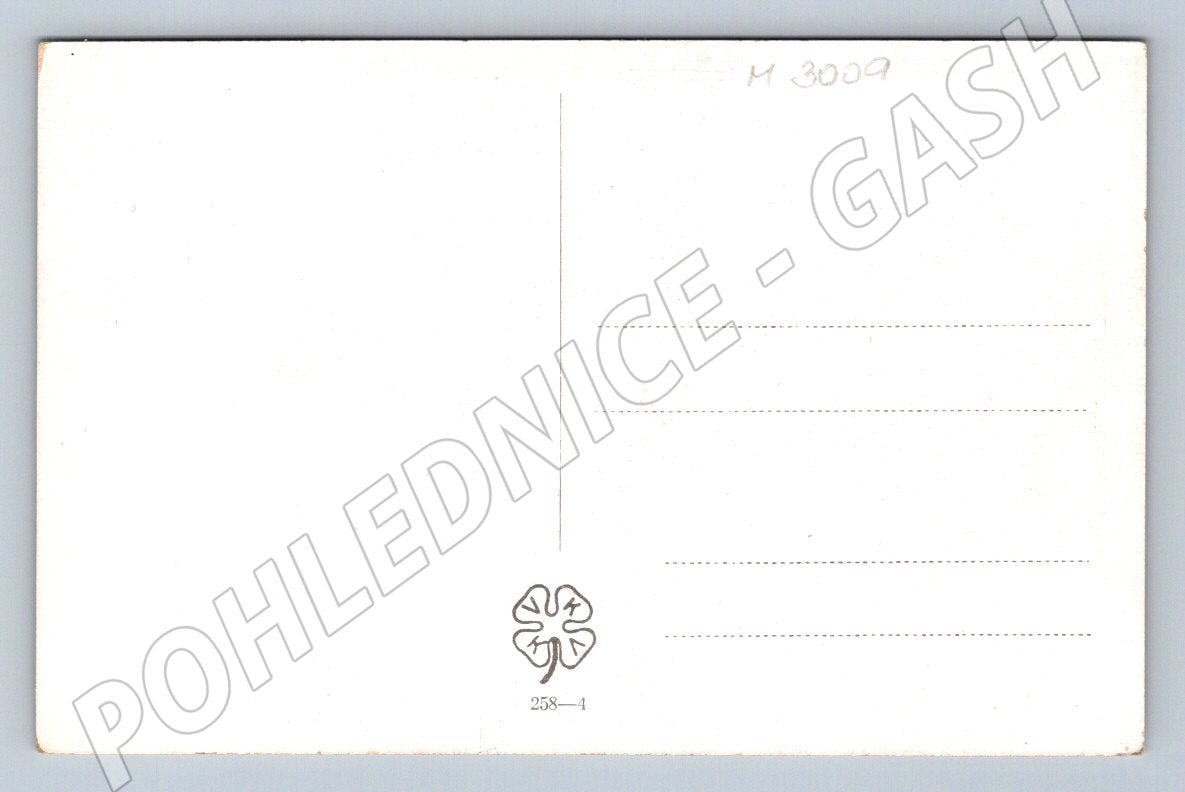 Postcard of a girl from Vlčnov CV Muttich (M3009)