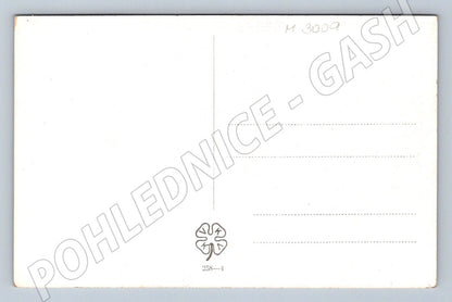 Postcard of a girl from Vlčnov CV Muttich (M3009)