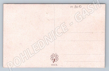 Postcard girl in traditional costume Uherský Brod (M3010)