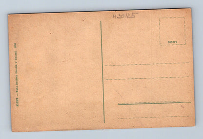 Pohlednice Choceň Peliny 1920 (M30125)
