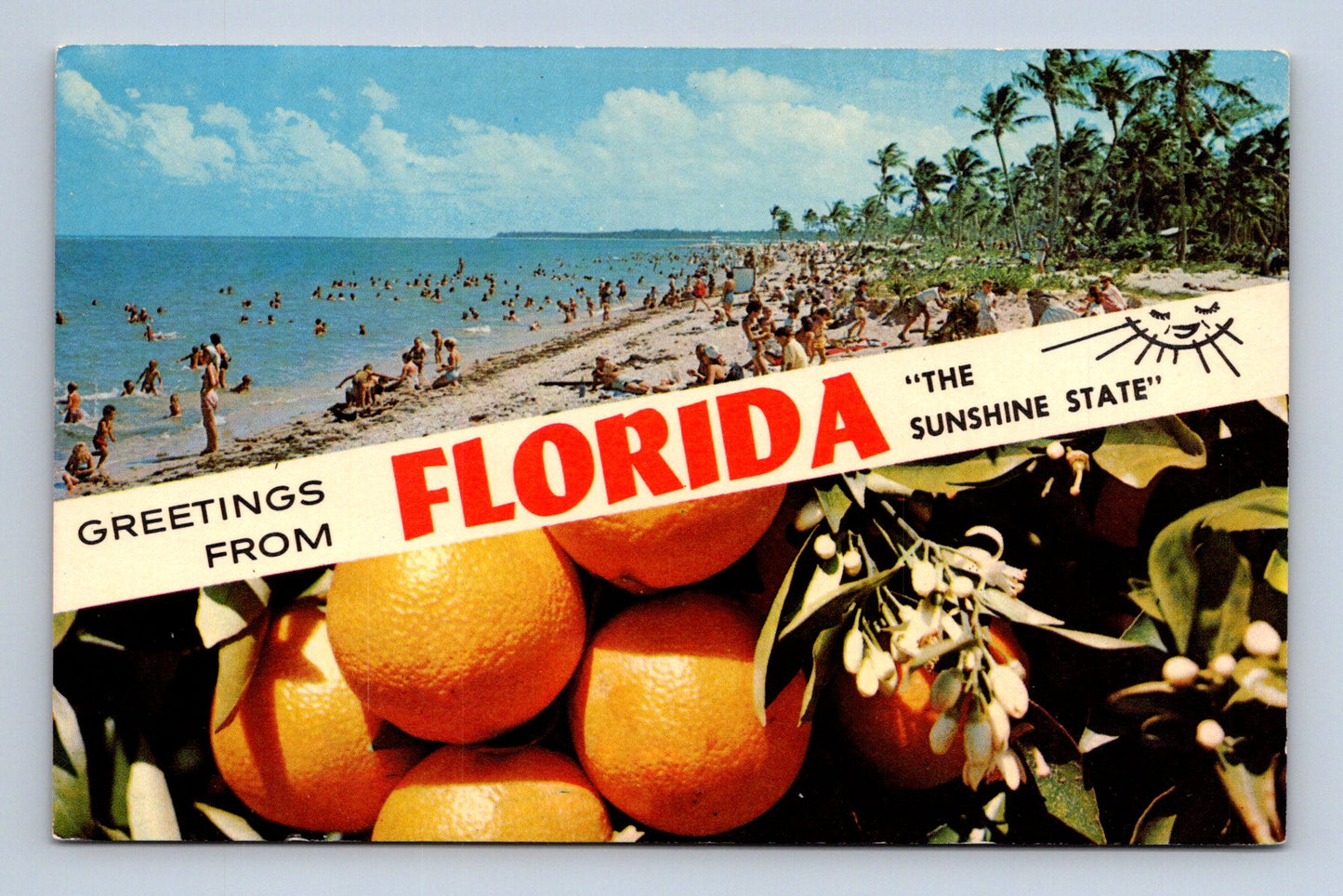 Pohlednice USA Florida pláž s palmami a pomeranči (M30171)