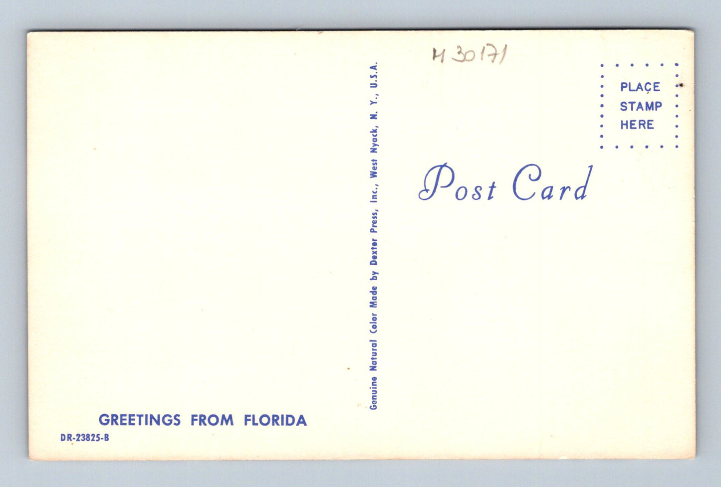 Pohlednice USA Florida pláž s palmami a pomeranči (M30171)
