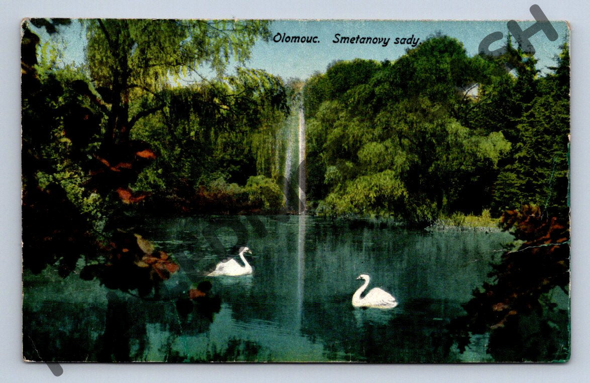 Pohlednice Olomouc Smetanovy sady malý formát labutě (M302)