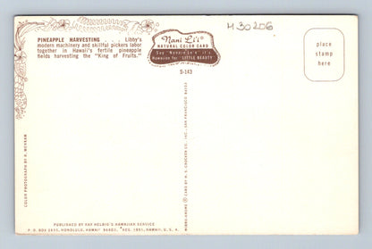Pohlednice USA Hawaii sklizeň ananasu 1951 (M30206)