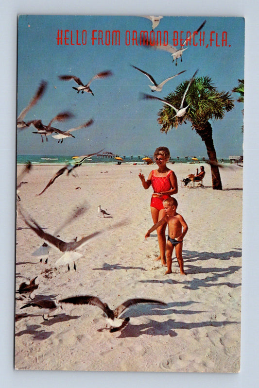 Pohlednice USA Ormond Beach pláž a racci (M30210)