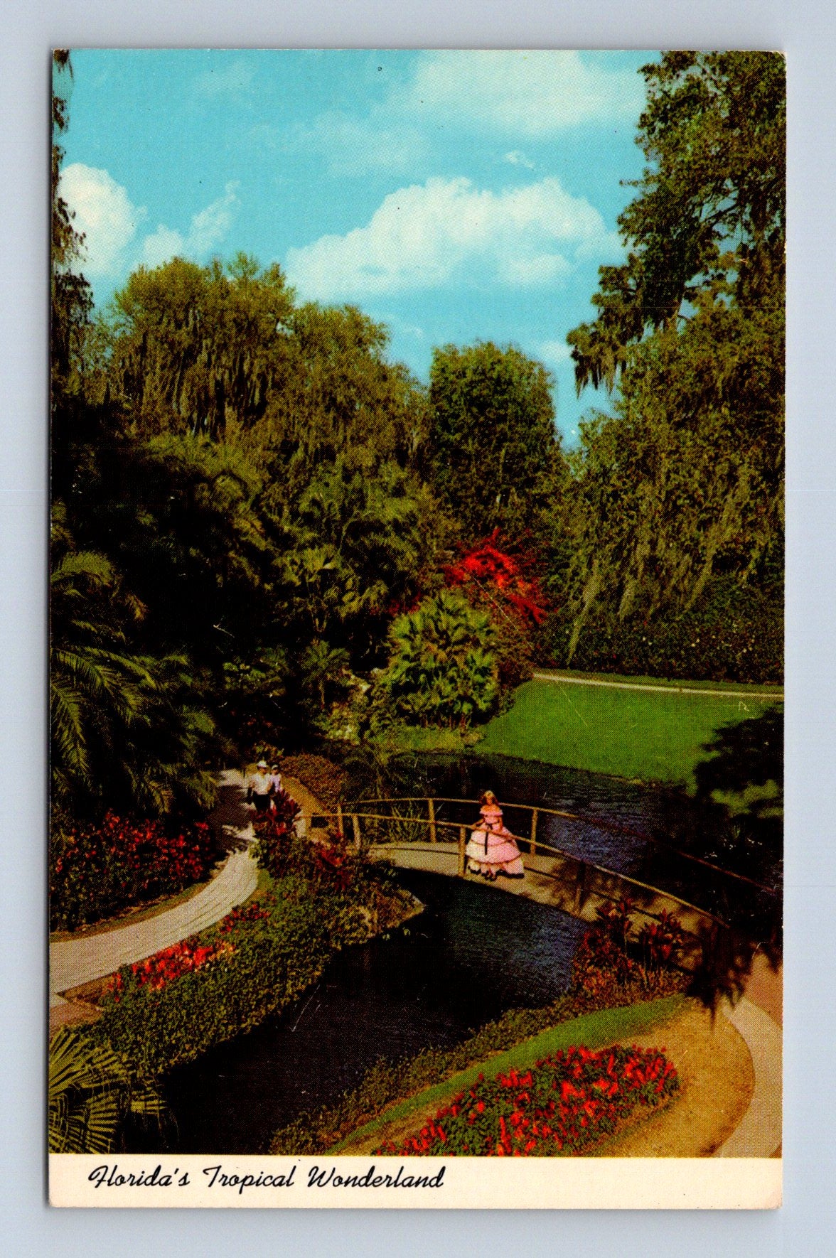 Pohlednice Florida Tropical Wonderland (M30212)