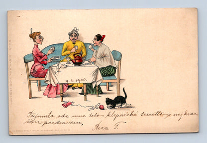 Pohlednice Jilemnice humorný motiv ženy s kočkou 1900 (M30263)