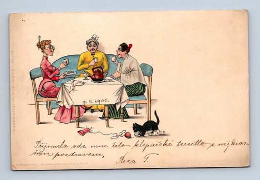 Pohlednice Jilemnice humorný motiv ženy s kočkou 1900 (M30263)