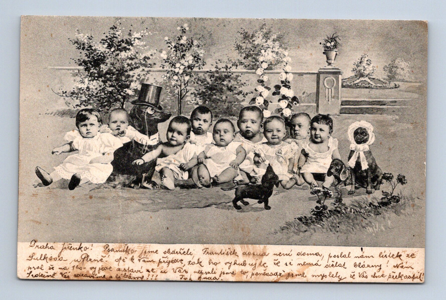 Pohlednice Jilemnice skupina miminek a psů (M30358)