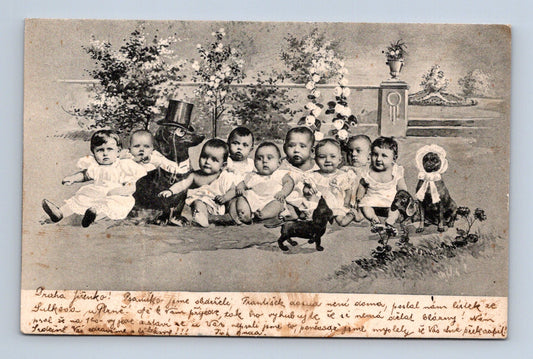Pohlednice Jilemnice skupina miminek a psů (M30358)