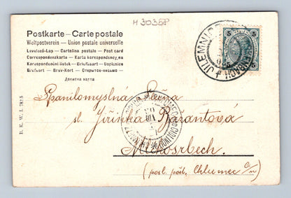 Pohlednice Jilemnice skupina miminek a psů (M30358)