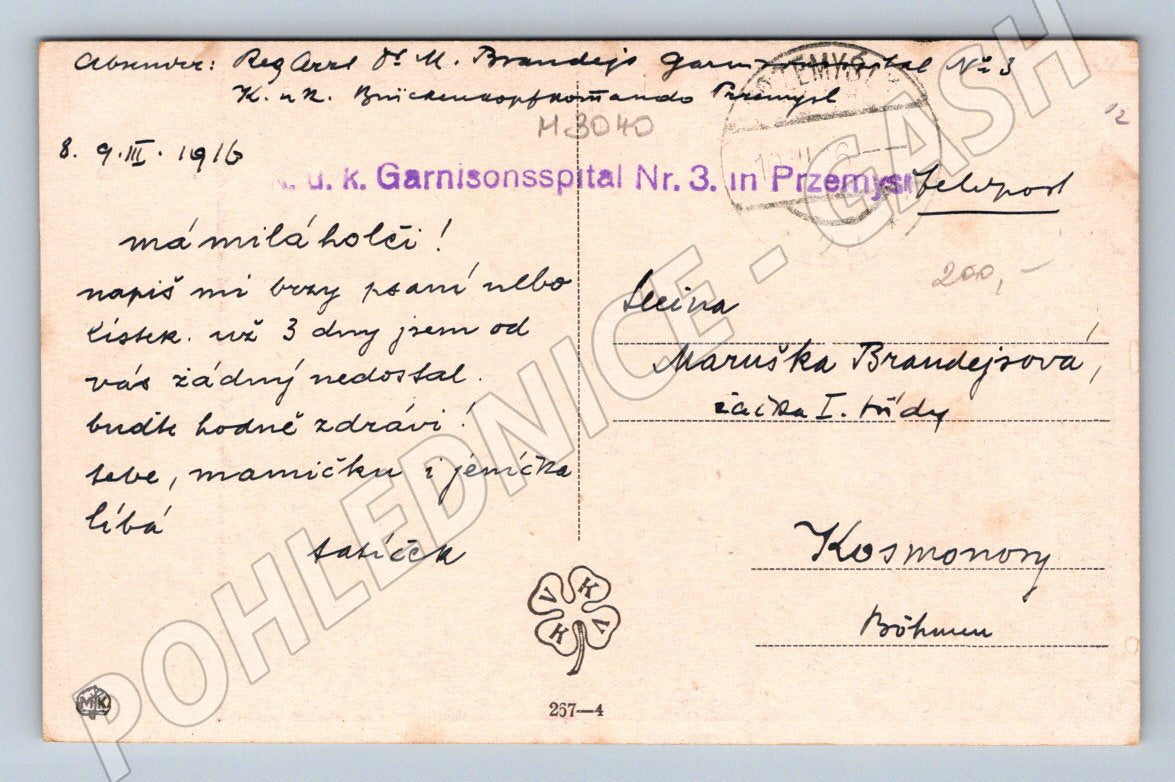 Postcard girl in traditional costume 1916 (M3040)