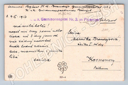 Postcard girl in traditional costume 1916 (M3040)