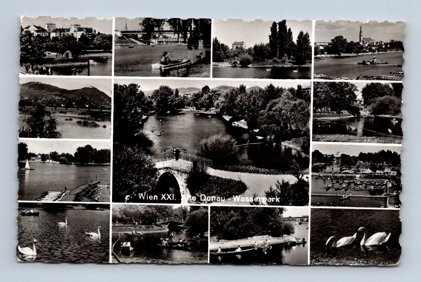 Pohlednice Rakousko Vídeň Dunajský vodní park 1950 (M30521)