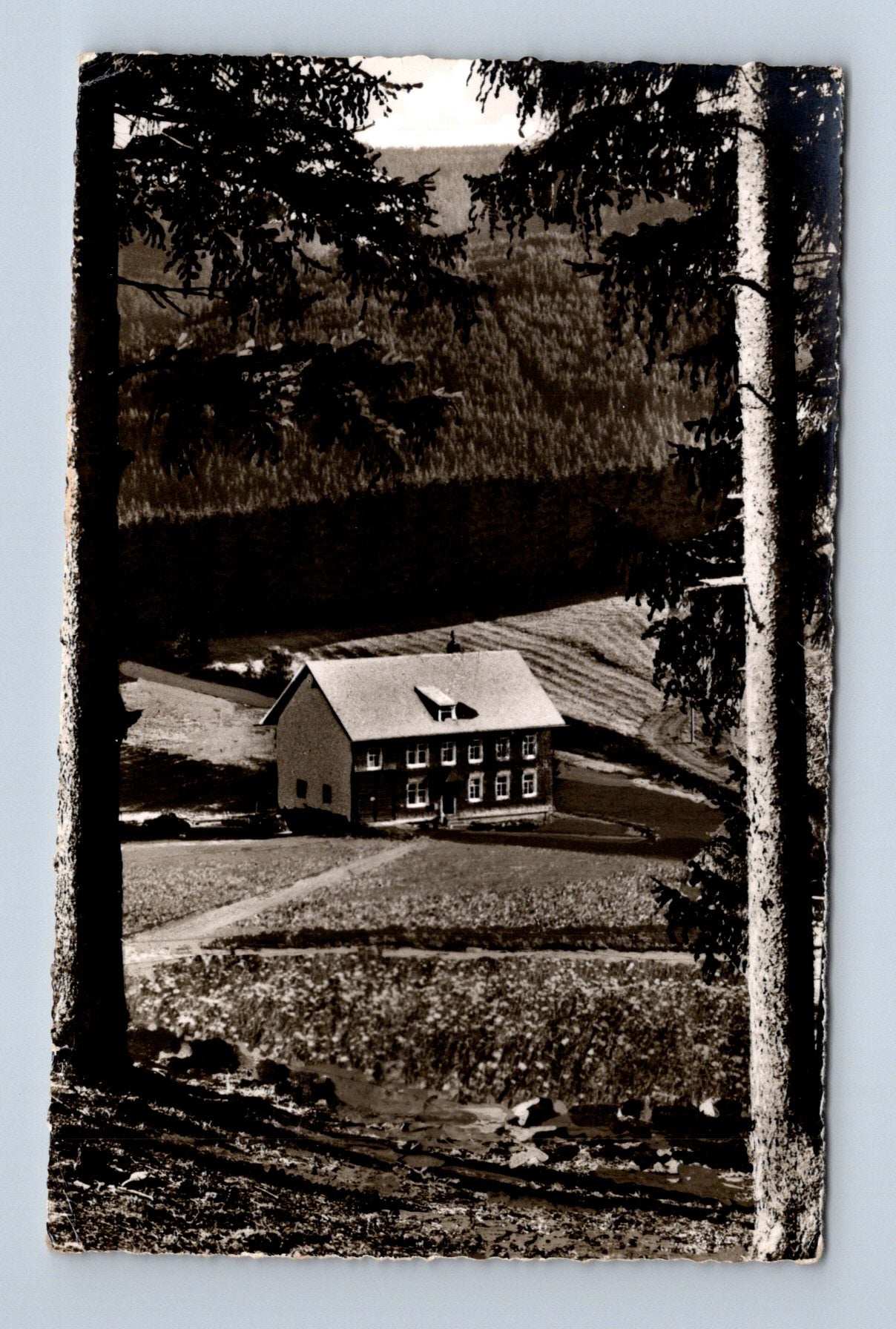 Pohlednice Německo Neustadt Schwarzwald Jugendherberge (M30556)
