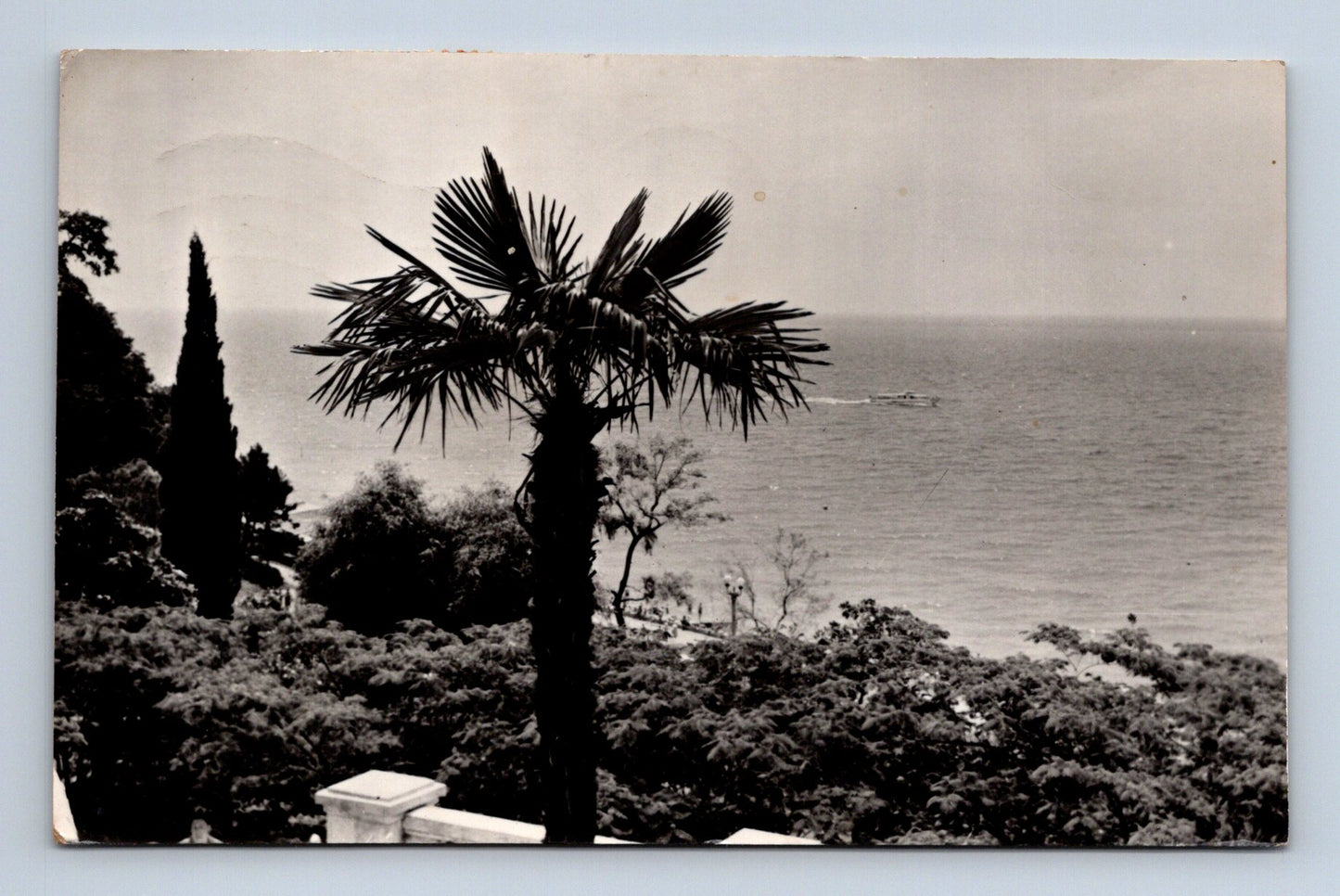 Pohlednice Rusko Soči Primorský park 1968 (M30573)