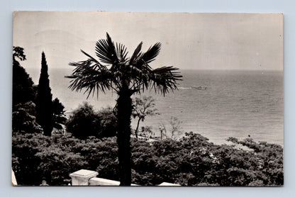 Pohlednice Rusko Soči Primorský park 1968 (M30573)
