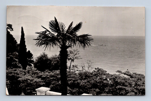 Pohlednice Rusko Soči Primorský park 1968 (M30573)
