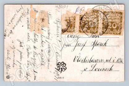 Postcard folk costume and rural scene ethnography (M3061)